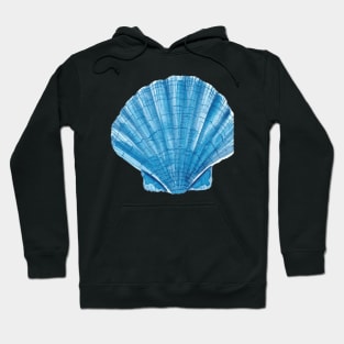 Sea Shell Hoodie